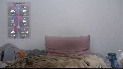 Media: Video of a messy, unmade bed with beige and pink pillows and a rumpled beige blanket. A colorful anime character poster hangs on the plain white wall. A clear plastic cup and a plush toy are visible on the bed.