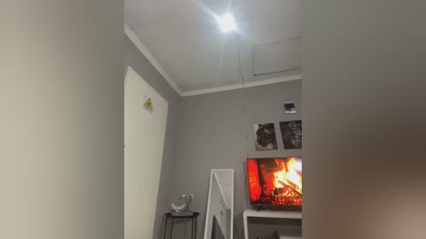 Media: A video of a small, modern living room with a flat-screen TV displaying a fire, beige walls, a white door, and minimalistic decor.