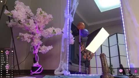 Media: Video of a room with a pink cherry blossom tree, neon lights, and a large mirror reflecting a man wearing a blue shirt, in a dimly lit, modern setting.