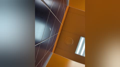 Media: A video showcasing a modern, minimalist interior with sleek, dark brown tiles on one wall and a bright, cylindrical fluorescent light fixture against a warm, honey-colored ceiling.