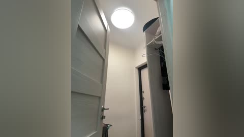 Media: Video of a narrow, dimly lit hallway with a white ceiling light, a partially open door on the left, and a white pole with a blue base on the right.