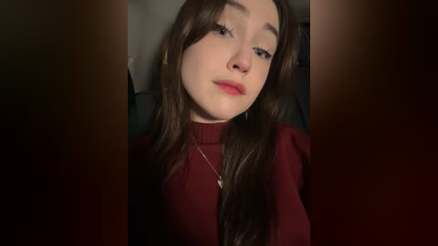 Media: Video of a young woman with long brown hair, wearing a red turtleneck sweater, seated in a dimly lit car, looking directly at the camera with a neutral expression.