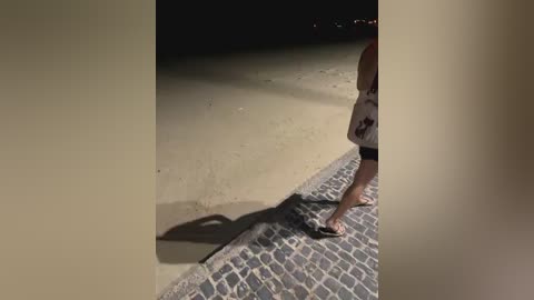 Media: Video of a person in shorts and sandals walking on a dimly lit, patterned stone path. The background is a dark, sandy beach with faint, distant light sources.