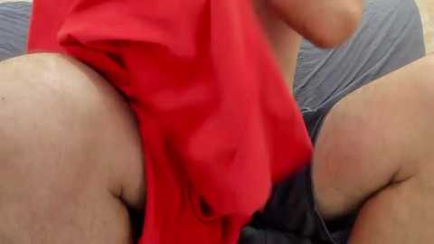 Media: Video of a person in a red shirt lifting up their shirt to reveal a hairy, light-skinned belly. The background shows a grey tank top and a blurred face.