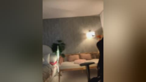 Media: A video shows a blurred, dimly lit room with a bed, wall sconce, and a person in the corner.