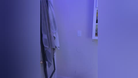 Media: Video of a dimly lit, minimalist bathroom with a white wall and a partially open door. A gray towel hangs from a black rod, and a small white shelf holds a few toiletries.