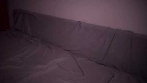 Media: A video of a dimly lit, messy bedroom with a rumpled bedsheet in shades of gray and purple. The room's walls are painted in a muted color, contributing to the overall subdued atmosphere.