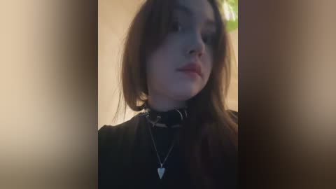 Media: Video of a young woman with fair skin, brown hair, and a black choker necklace, taken indoors with a soft-focus background.