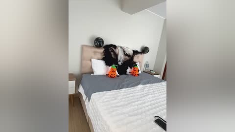 Media: A video of a cat with its head inside a white and black cow mask, lying on a gray and white bed with two orange carrot toys.