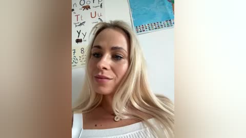 Media: Video of a fair-skinned blonde woman with long hair, wearing a white top, standing in front of educational posters in a light-colored room.