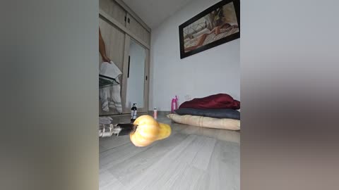 Media: Video of a minimalist, light-colored room with a large, colorful, abstract painting on the wall. A yellow, inflatable object, possibly a ball, floats in the foreground.