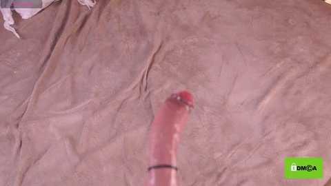 Media: A close-up video of a circumcised, erect penis covered in a translucent plastic wrap, with a green \"DMM.GA\" watermark in the bottom right corner.