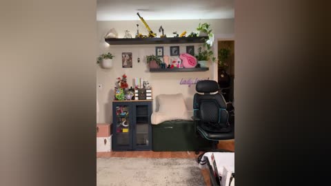 Media: Video of a cozy, cluttered room with a white wall, black shelves, a gaming chair, a desk, and various decorations, including plants, toys, and personal items.