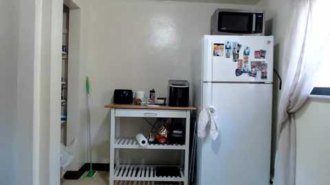 Media: A video of a small, cluttered kitchen with white cabinets, a microwave, and a refrigerator adorned with magnets. A mop stands in the doorway.