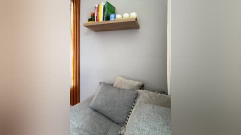 Media: Video of a minimalist living room corner with a light gray sectional sofa, wooden bookshelf, and various books and decorative items on a light gray wall.