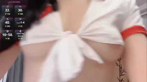 Media: A blurred, low-quality video shows a woman's partially exposed breasts in a white, tied-up shirt, with a red arm band, and a digital interface overlay.