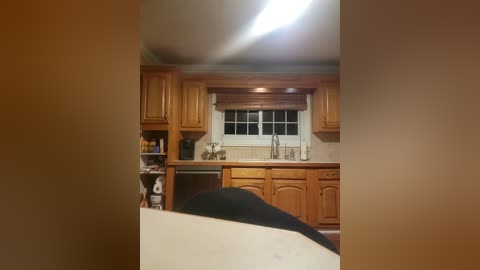 Media: Video of a cozy kitchen with wooden cabinets, white countertops, and a small window above a sink, illuminated by a bright overhead light.