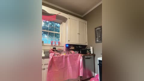 Media: Video of a small, cozy kitchen with white cabinets, a pink tablecloth, and a blue coffee maker on the counter. A window with pink curtains and a tree view is visible.