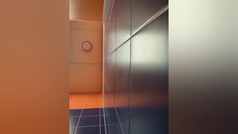 Media: Video of a narrow, brightly lit hallway with orange and blue tiled walls. The ceiling has a circular ventilation grate. The scene is clean and modern, with a sleek, minimalist design.