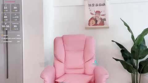 Media: Video of a pink, padded armchair against a white wall with a potted plant in the corner. A poster with Chinese characters and a thermometer is visible.