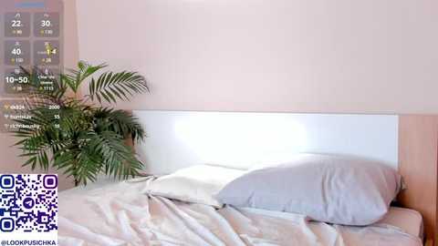 Media: A video of a minimalist bedroom with a white headboard, a potted palm plant, and a neatly made bed with light-colored bedding. The room has a soft pink wall and a digital clock displaying temperature and humidity data.