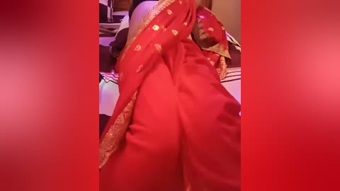 Media: A video of a person in a red sari with gold embroidery, partially obscured by a red background. The sari drapes elegantly, highlighting the person's hips and lower back.