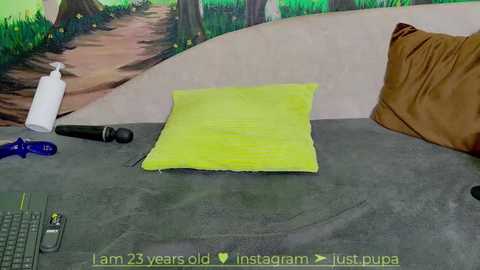 Media: A video of a bedroom with a bright yellow pillow on a grey carpet. Surrounding objects include a dildo, a bottle of lube, a vibrator, a phone, and a brown pillow. The background features a painted mural of a forest path.