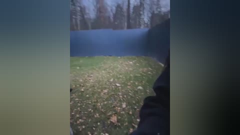 Media: Video of a person standing outside a blue wall, looking through a narrow gap, revealing a grassy area with scattered leaves. Background includes bare trees and an overcast sky, suggesting a fall or winter setting.