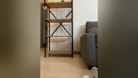 Media: Video of a modern, minimalist living room with a gray couch, wooden shelving unit with black metal frames, beige walls, and light wooden flooring.