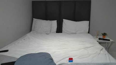 Media: Video of a minimalist, modern bedroom with a gray upholstered headboard, white pillows, white duvet, and a white nightstand with a potted plant and a remote control.