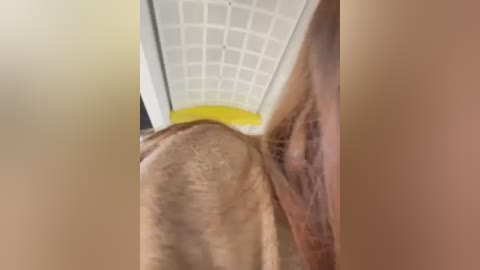 Media: A blurry, low-angle video of a person's buttocks and thighs, with a beige ceiling and yellow wall visible in the background.