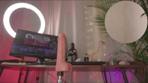 Media: Video of a modern, minimalist home office with a large pink dildo on a desk, two circular ring lights, a monitor displaying coding, and a potted plant in the background.