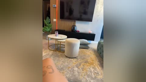 Media: A video of a modern living room with a beige sofa, a white ottoman, a round white coffee table, a black flat-screen TV on a wooden wall, and a potted plant.