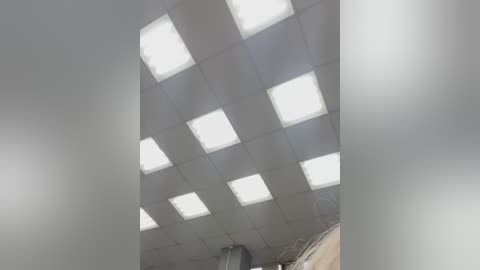 Media: Video of a modern, clean, industrial interior with a ceiling composed of square, white fluorescent light panels arranged in a grid pattern. The room is bright and sterile, suggesting a utilitarian space.