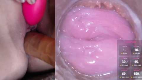 Media: Video of a close-up of a pink, glossy, textured dildo inserted into a woman's vagina, showing detailed internal anatomy. A temperature gauge and a timer display are visible in the right corner.