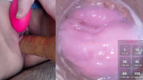 Media: A close-up video of a woman's vagina being penetrated by a translucent dildo, with a pink vibrator in her left hand. The background shows her pale skin and a pink and purple vaginal interior.