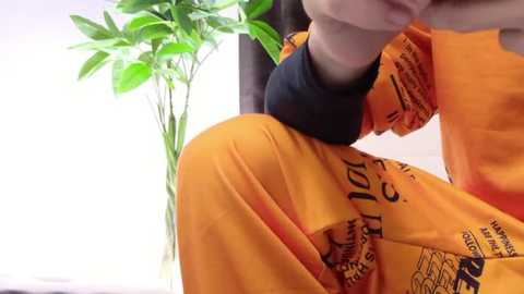 Media: Video of a person in a bright yellow shirt, possibly Buddhist, with a black sleeve, bending over a green plant. Background shows a plain white wall.