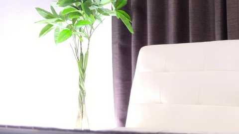 Media: Video of a white chair with a glass vase holding green leaves, set against dark brown curtains in a bright, minimalist room.