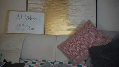 Media: A video shows a beige sofa with a white pillow and a red and white zigzag-patterned cushion, behind which hangs a \"ALL Videos 4499\" sign, and a gold-framed window with textured glass.