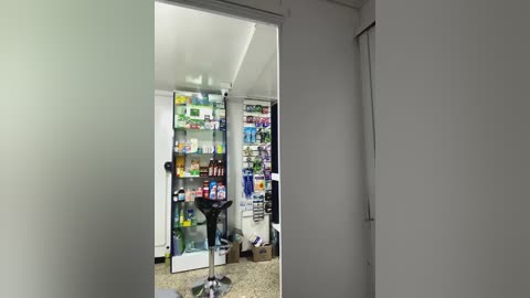 Media: Video of a small, cluttered kitchen with white walls and cabinets. A refrigerator and freezer are filled with various food items and condiments. The floor is speckled with light beige tiles.