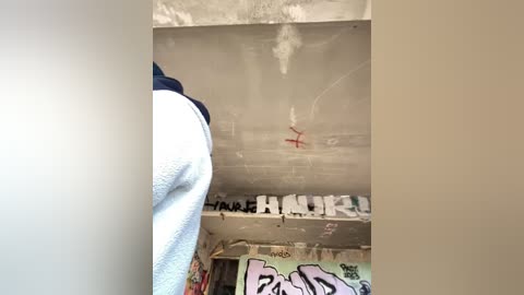 Media: A video of a graffiti-covered ceiling with red and black tags, featuring the word \"FUCK\" in bold, black spray-painted letters. The ceiling appears worn and dingy, with visible water damage and mold. The image is taken from a low angle, looking upwards.