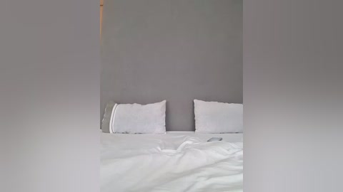 Media: A video of a minimalist bedroom with a grey wall, two white pillows, and a rumpled white bedsheet. The room is dimly lit, creating a serene and understated atmosphere.