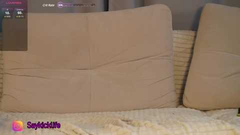 Media: A video showing a beige, textured couch with a slightly wrinkled cushion, set against a neutral-toned background. The image has a watermark at the bottom left corner.