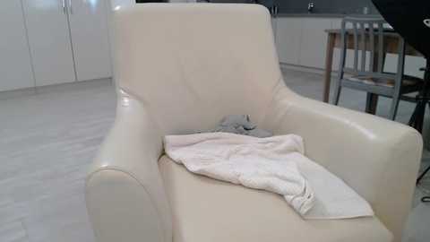 Media: Video of a cream leather armchair with a folded light pink blanket on the seat, set in a modern kitchen with white cabinets, a gray countertop, and light wood flooring.