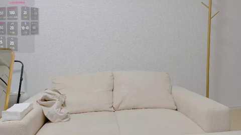 Media: Video of a minimalist living room with a beige couch, light-colored walls, and a white floor lamp. A beige blanket lies on the couch, and a calendar with a colorful grid is mounted on the wall.