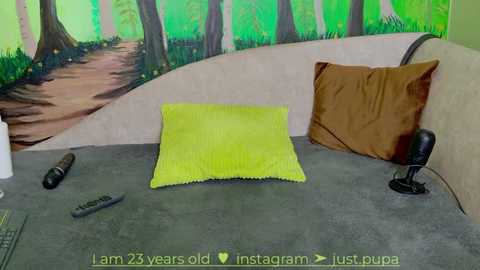 Media: A video of a child's bedroom featuring a green and brown forest mural, a lime-green pillow, a brown pillow, a black remote, and a black phone charger on a gray carpet.