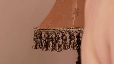 Media: Video of a close-up of a lampshade with a brown, textured fabric base and a tassel fringe in black and brown, against a beige wall. The texture and tassel details are prominent.