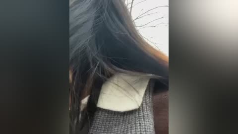 Media: Video of a person with long, dark hair partially covering their face, wearing a gray, textured sweater. The background features blurred, leafless tree branches and an overcast sky, creating a somber, wintery atmosphere.