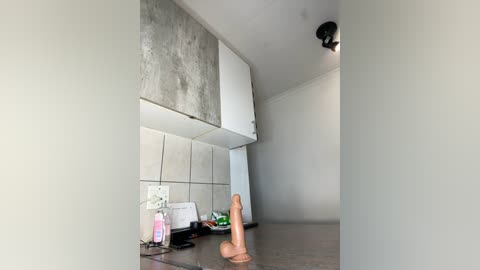 Media: Video of a modern kitchen with a gray countertop, white subway tiles, and a concrete backsplash. A realistic, tan-colored dildo is placed on the counter, surrounded by a pink bottle and a green object. The room is dimly lit, with a black ceiling light.