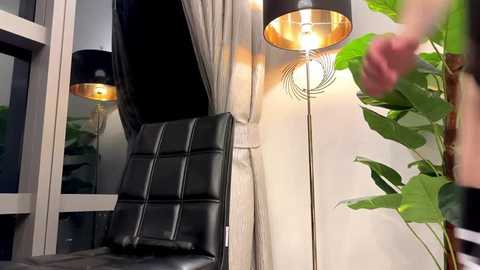 Media: A video of a modern interior featuring a black leather chair with white stitching, flanked by tall, cylindrical lamps with gold interiors. The background includes a large potted plant and beige curtains.